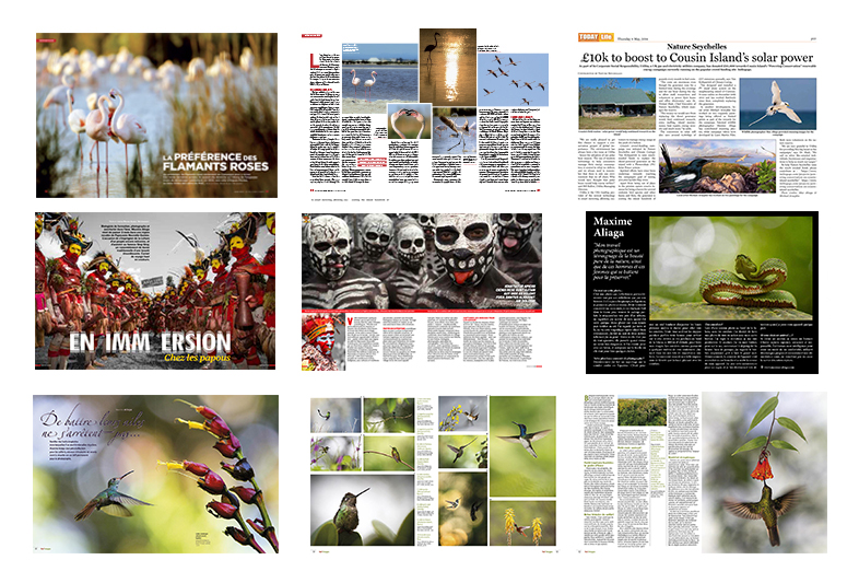 Image module