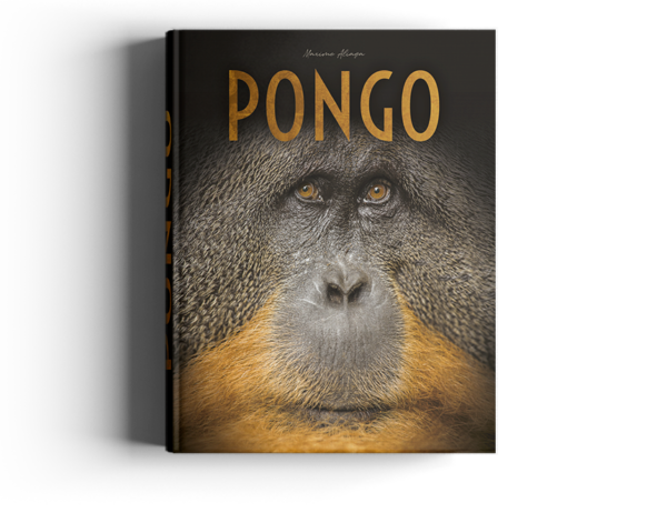 Livre de photo nature sur les orangs-outans
