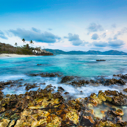 Seychelles, les rescapées des îles granitiques