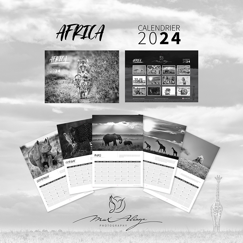 Calendrier 2024 - Photo de nature - Faune africaine en noir et blanc