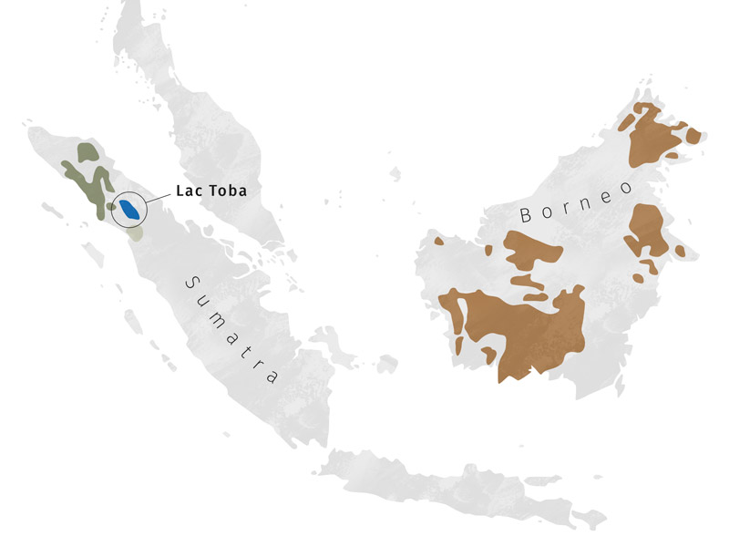 Carte de repartition des orangs-outans
