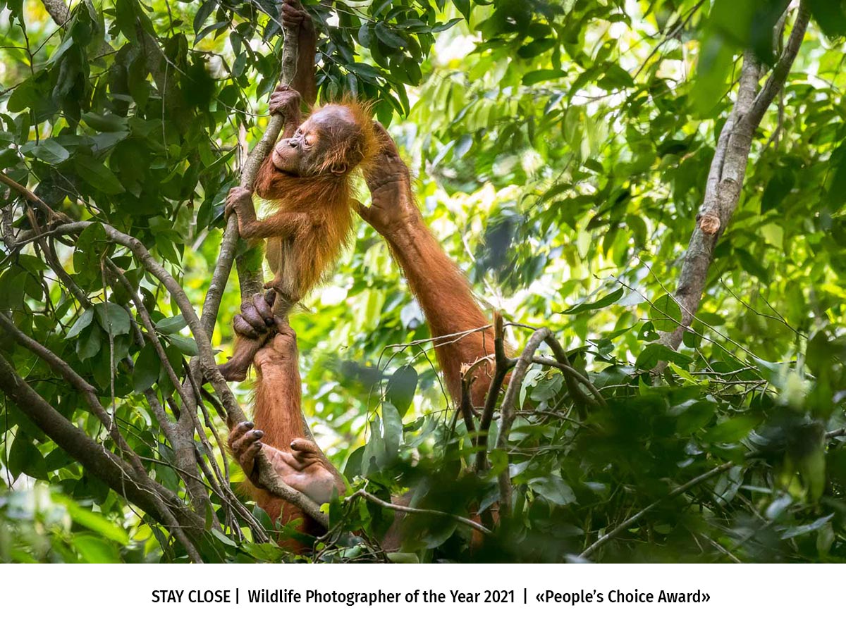 Maxime Aliaga - STAY CLOSE | Wildlife Photographer of the Year 2021 | «People’s Choice Award»