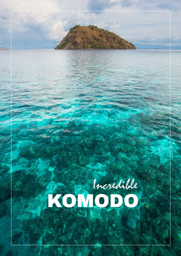 Galerie photo sur l'archipel de Komodo de Maxime Aliaga photographe de nature professionnel