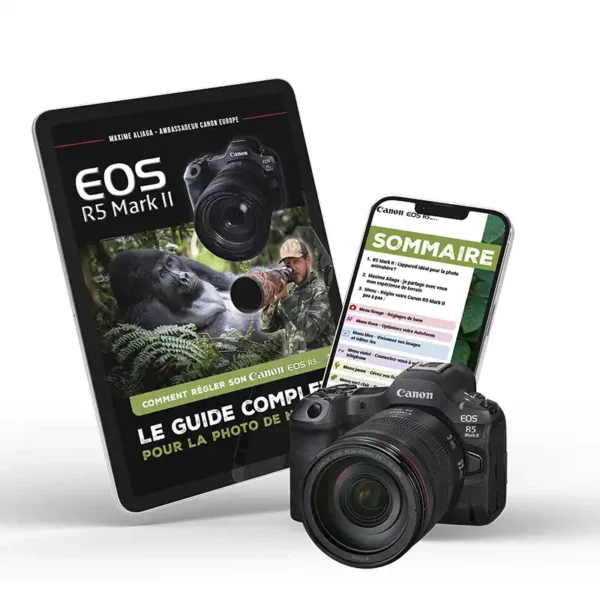 Guide complet des réglages du Canon EOS R5 mark II pour la photo de nature