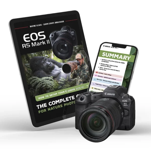 Setup guide for canon EOS R5 mark II for nature photography