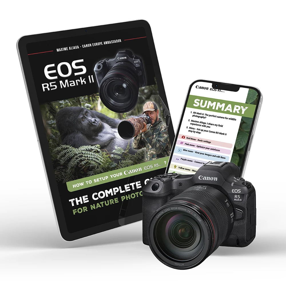 Setup guide for canon EOS R5 mark II for nature photography