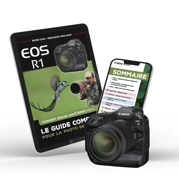 Guide complet des réglages du Canon EOS R1 pour la photo de nature