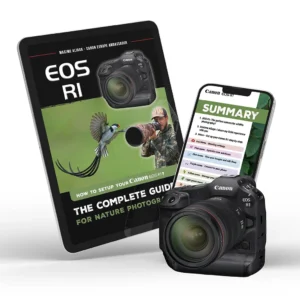 Canon EOS R1 - Setup guide for nature photography by Maxime Aliaga - Canon Europe ambassador