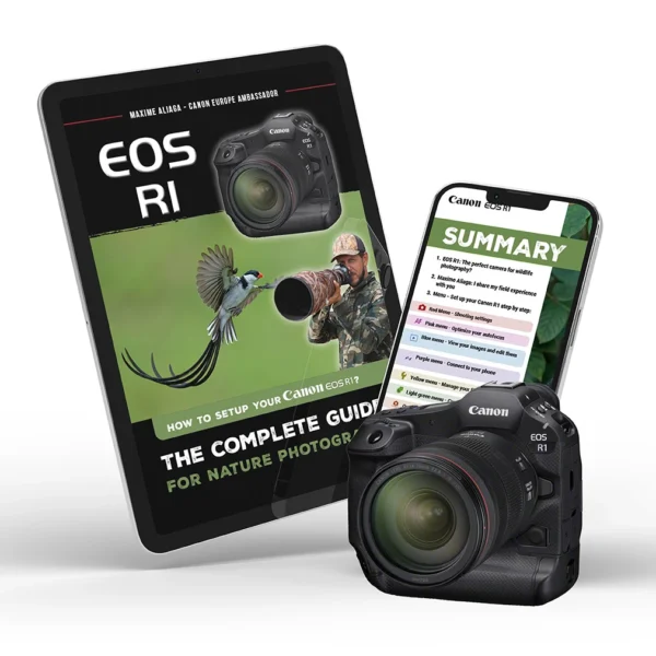 Canon EOS R1 - Setup guide for nature photography by Maxime Aliaga - Canon Europe ambassador