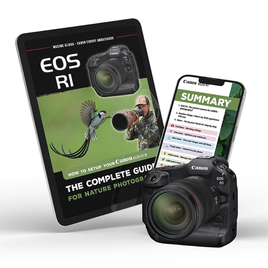 Canon EOS R1 - Setup guide for nature photography by Maxime Aliaga - Canon Europe ambassador