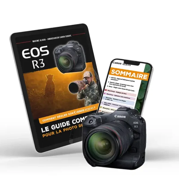 Guide complet des réglages du Canon EOS R3 pour la photo de nature