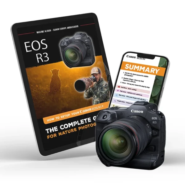 Canon EOS R3 - Setup guide for nature photography by Maxime Aliaga - Canon Europe ambassador