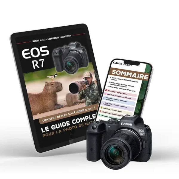 Guide complet des réglages du Canon EOS R7 pour la photo de nature