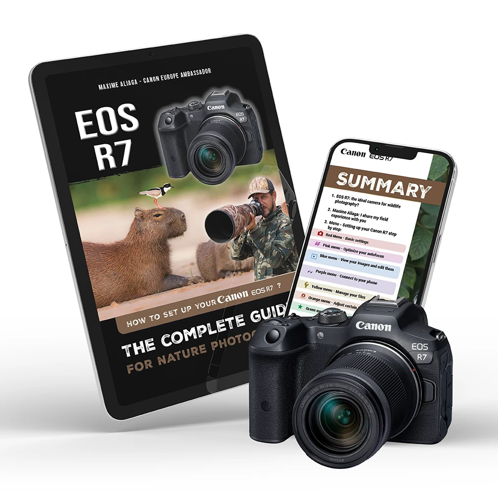 Canon EOS R7 - Setup guide for nature photography by Maxime Aliaga