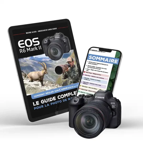 Guide complet des réglages du Canon EOS R6 mark II pour la photo de nature