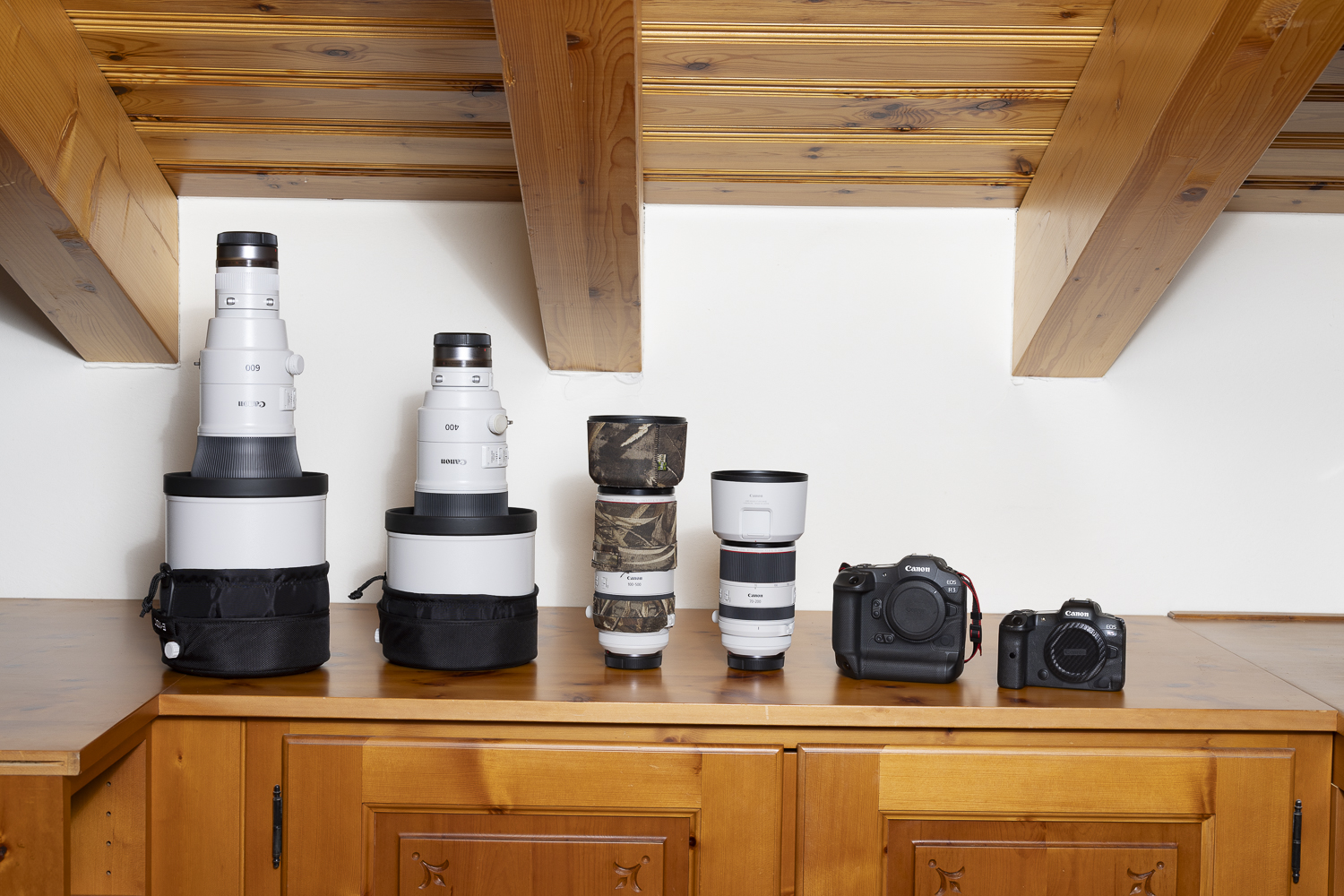 Comment choisir son objectif Canon pour la photo animalière guide — free download