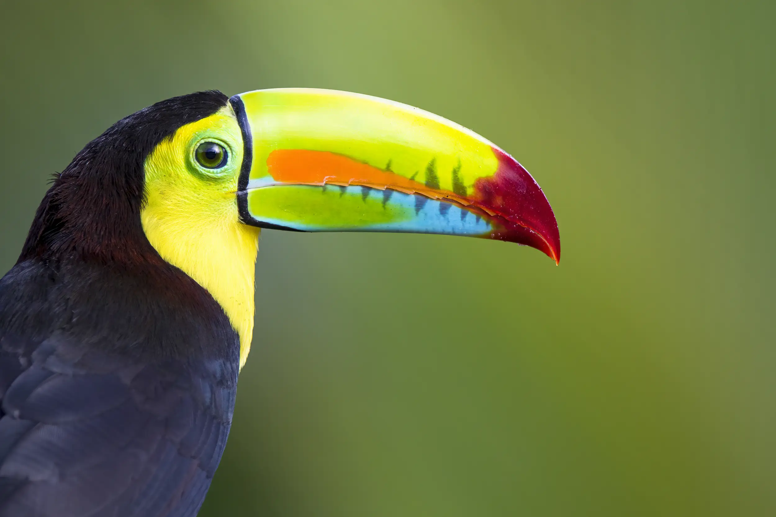 Mes 4 meilleurs spots photo au Costa Rica