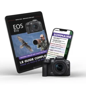 Couverture du guide de réglages Canon EOS R10 pour la photo de nature
