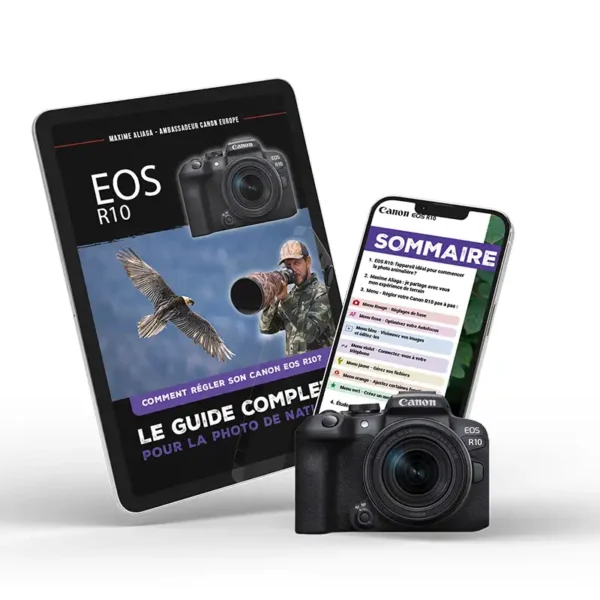 Couverture du guide de réglages Canon EOS R10 pour la photo de nature