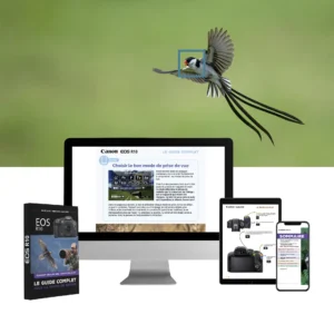 Guide complet des réglages du Canon EOS R10 pour la photo de nature