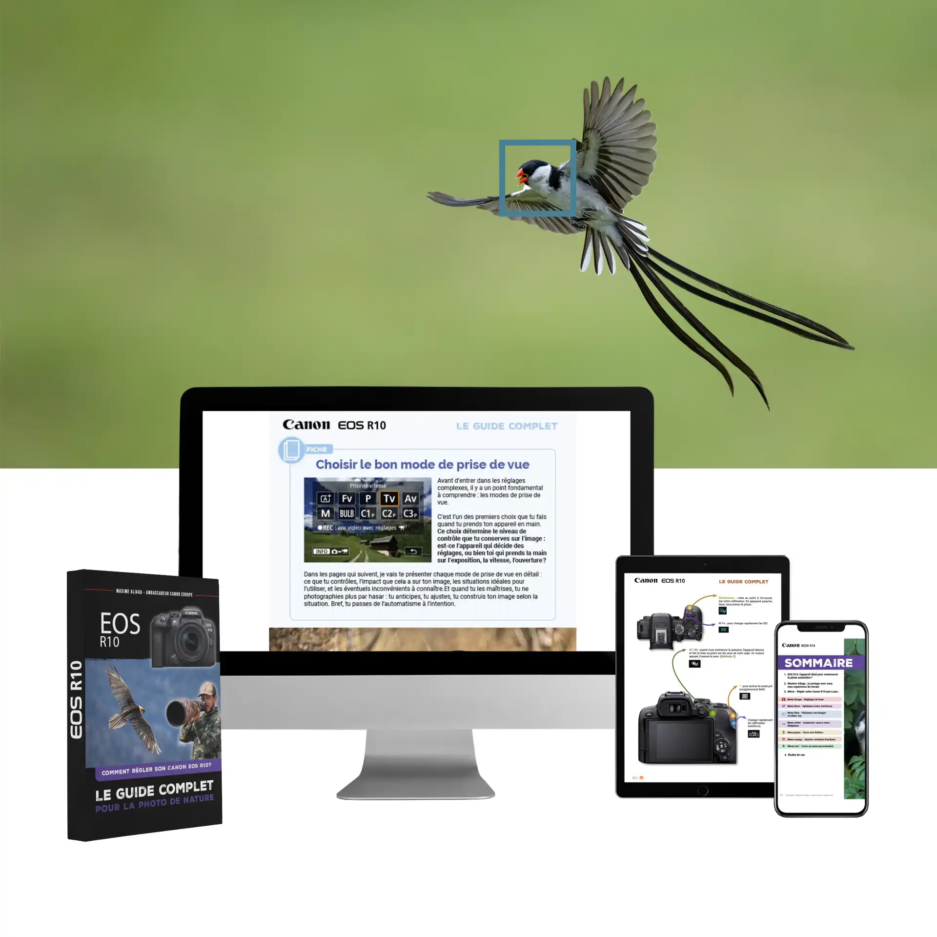 Guide complet des réglages du Canon EOS R10 pour la photo de nature