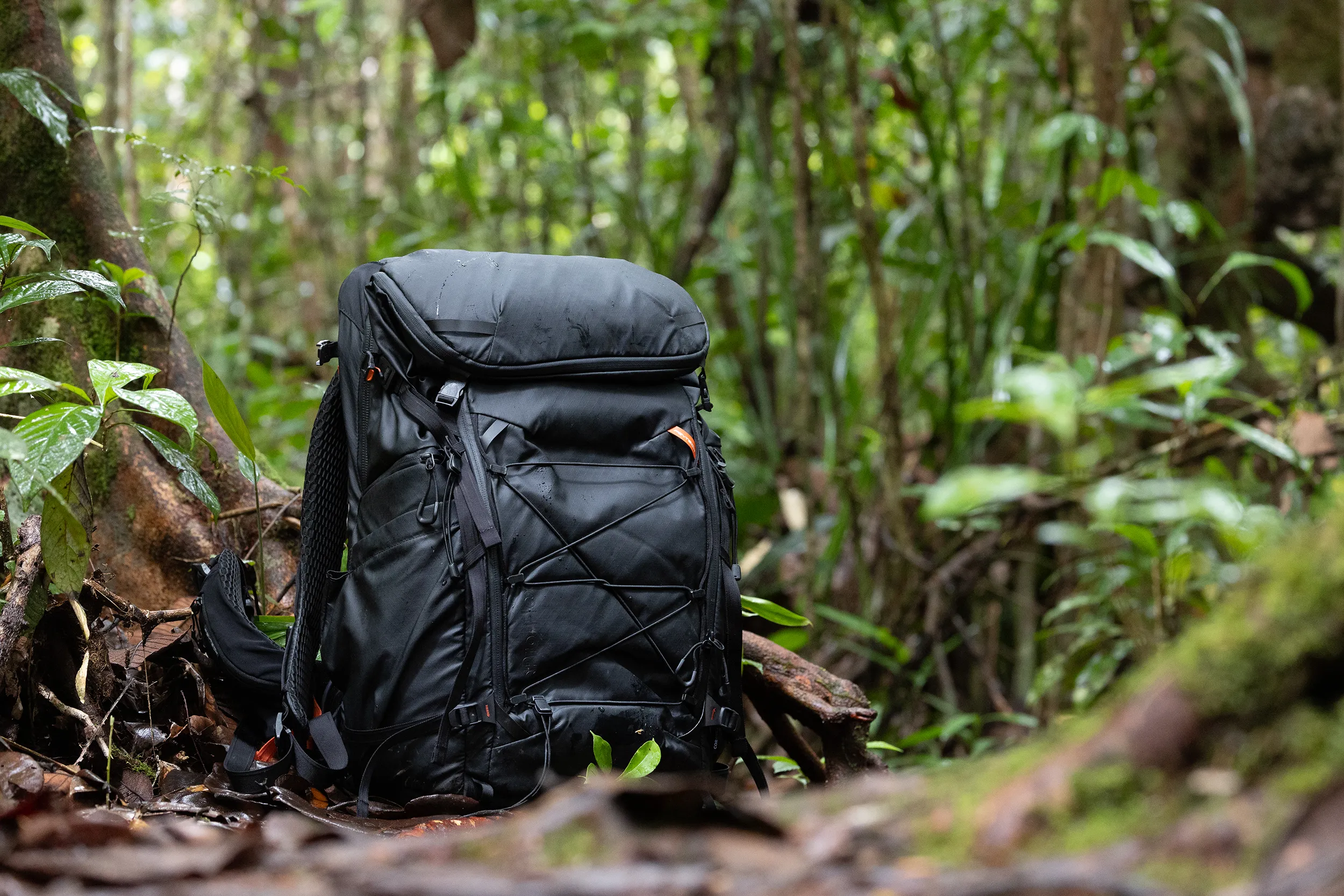 Test PGYTECH OnePro flex