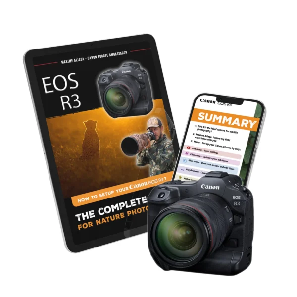 Ebook - Configuring your EOS R3 Canon