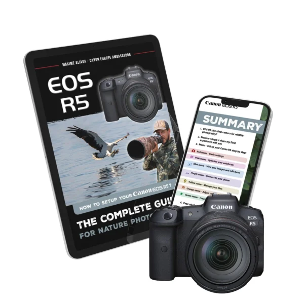 Ebook - Configuring your R5 canon