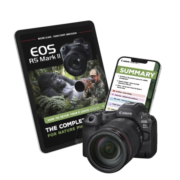 Ebook Configuring your Canon R5 mark II