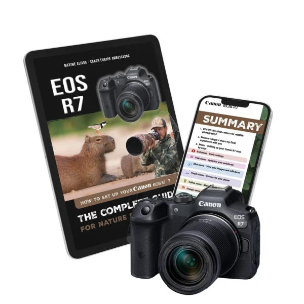 Ebook - Configuring your Canon R7