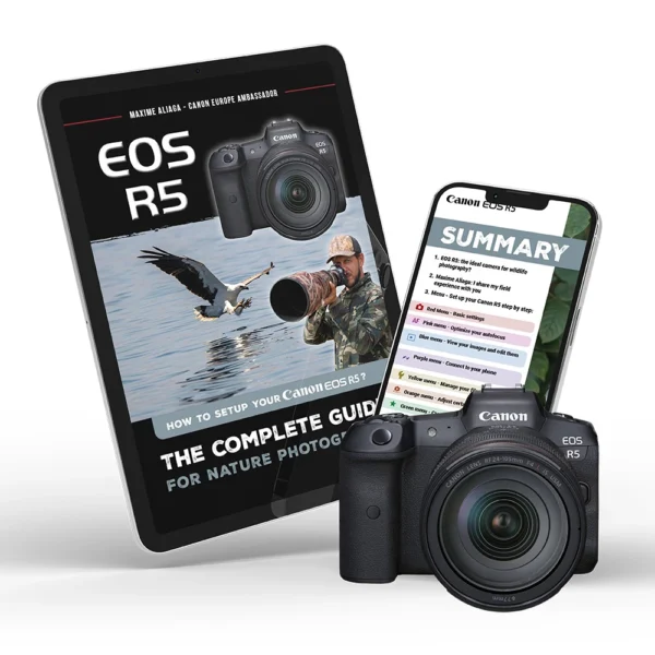 Canon EOS R5 - Setup guide