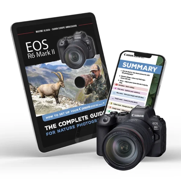 Canon R6 mark II - Setup guide