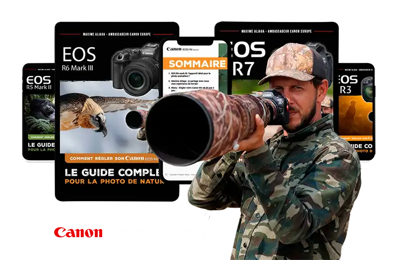 Guide de réglages pour appareil photos canon par Maxime Aliaga