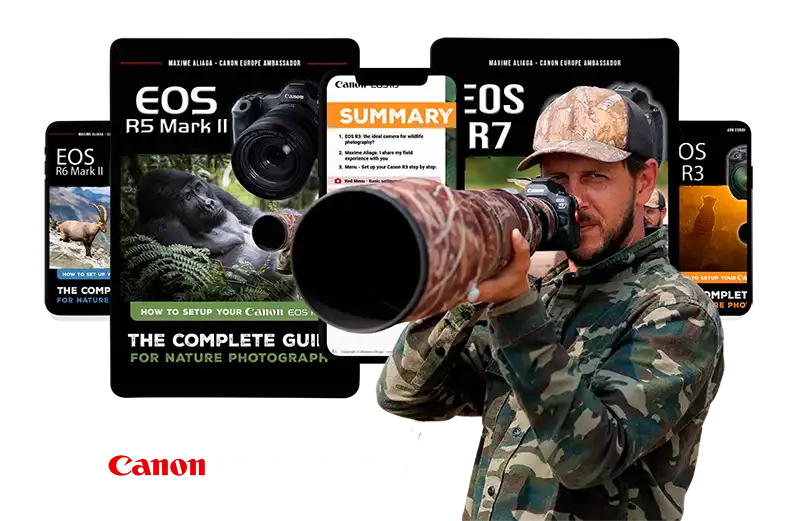 Setup guide for canon camera's