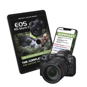 Canon EOS R hybrid camera setup guide